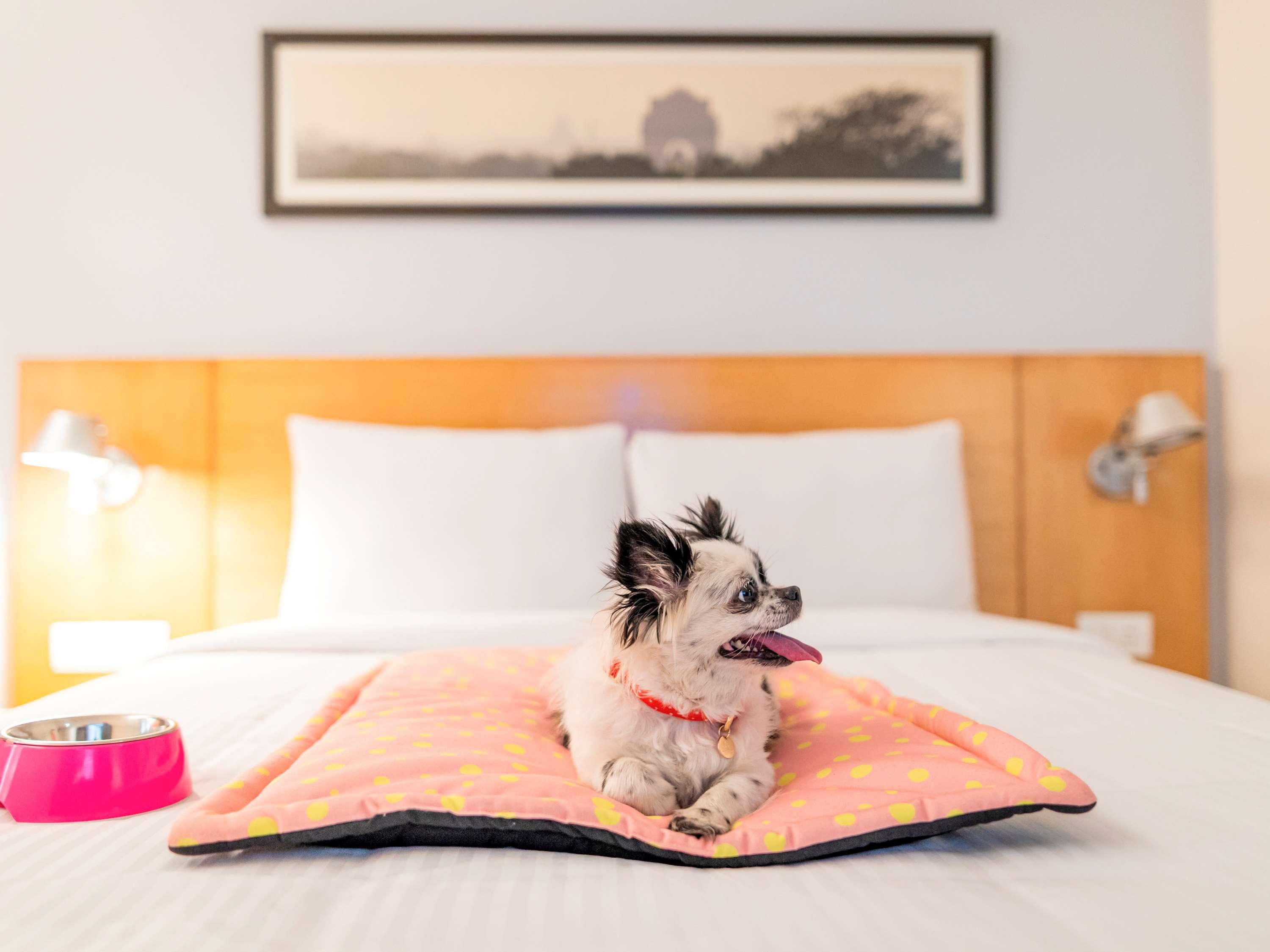 ไอบิส โกอิมบาตอร์ ซิตี้ เซ็นเตอร์ - แอน แอคคอร์โฮเต็ล แบรนด์ Hotel โคอิมบาทอร์ ภายนอก รูปภาพ